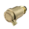 DN15 Латунный вентиляционный клапан выхлопного радиатора BSP с автоматическим выпуском