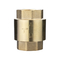 DN15 20MM латунный односторонний женский обратный клапан из кованой латуни с пружинным запорным клапаном